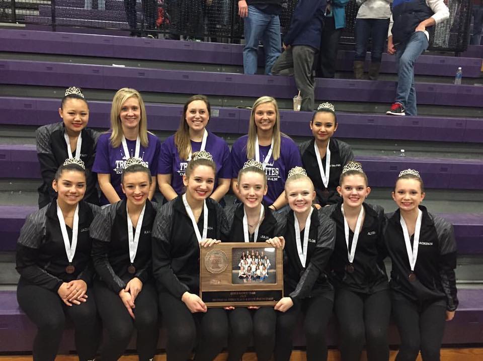 Dance Team Sections 2017 Team Award